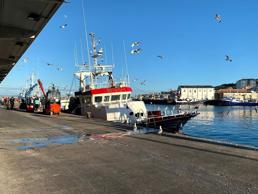 Barco de litoral amarrado no peirao, con gaivotas sobre o porto