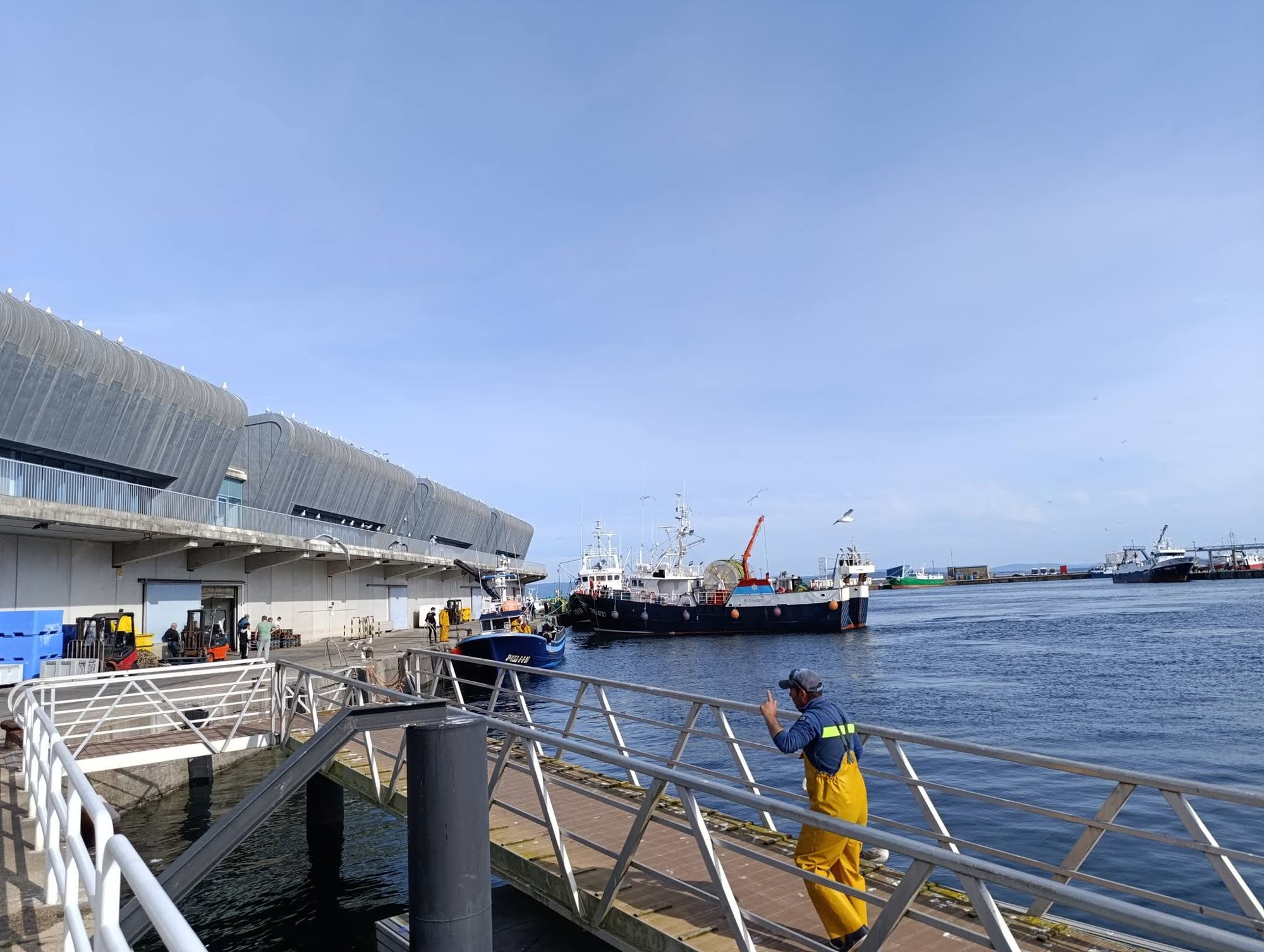 Vista exterior da lonxa de Ribeira cun barco de arrastre atracado nun día de sol