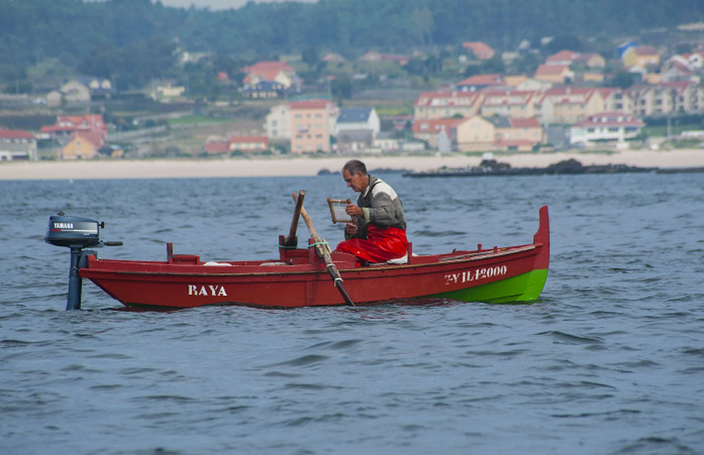 Mariñeiro pescando polbo nunha gamela vermella fronte á praia do Castro, en Aguiño