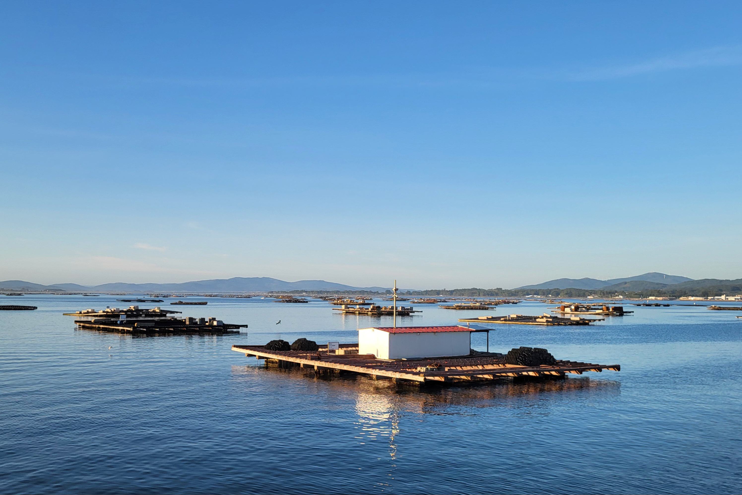 Bateas de mexillón na Ría de Arousa en augas tranquilas